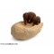 Brown Elephant Pair Floating Pot / Urli