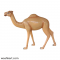 FRP Camel Statue
