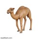 Camel Calf Statue