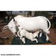 Milky White Cow with Its Calf Statue