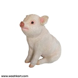 Pig Shaped Showpiece