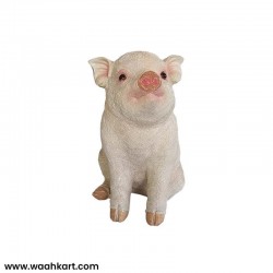 Pig Shaped Showpiece