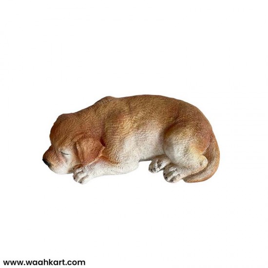 Sleeping Labrador Puppy