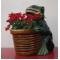 Plant Pot With A Frog In Sitting Position
