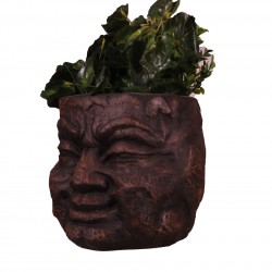 Stone Looked Face Planter