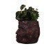 Stone Looked Face Planter