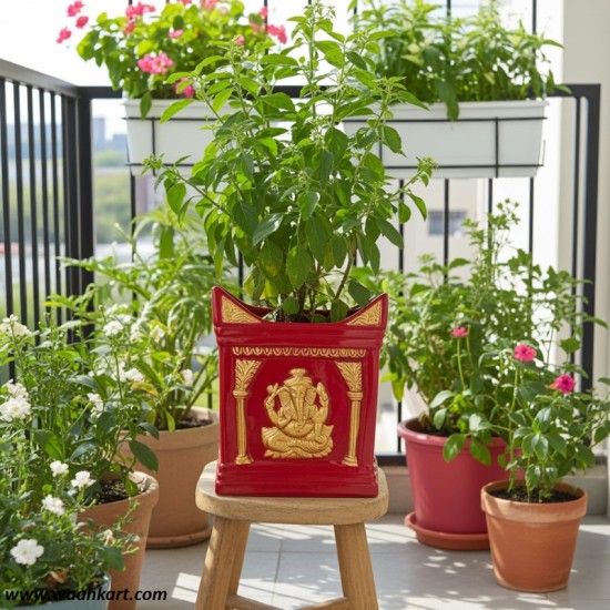 Divine Tulsi Plant Planter