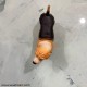Dog Showpiece