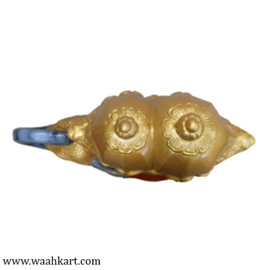 Elephant Ambari - The Royal Decorative Piece