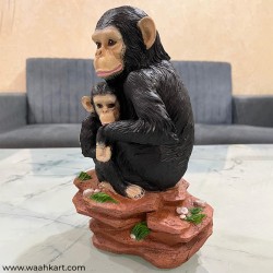 Monkey And Her Baby