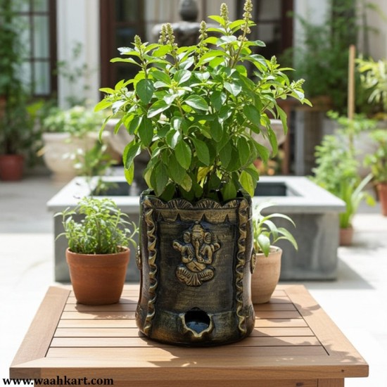 Tulsi Planter - Metallic 
