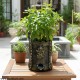 Tulsi Planter - Metallic 