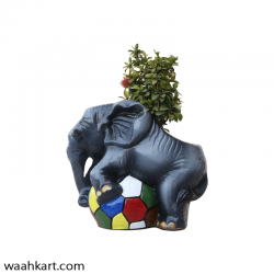 Elephant Playing With Ball Plant Pot
