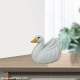 Duck - A Shiny White Showpiece