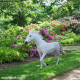 Royal Looking White Horse Statue