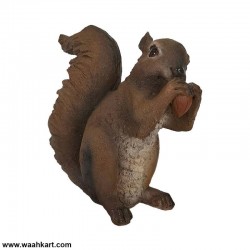 Squirrel Eating Nut Showpiece