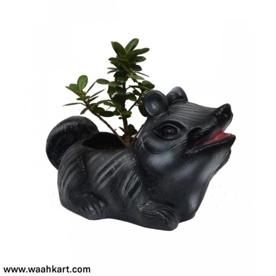 Adorable Fiber Squirrel Shaped Planter