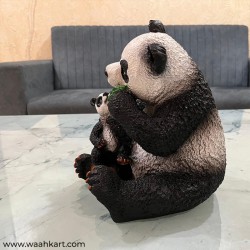 Adorable Panda With Its Cub