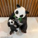 Adorable Panda With Its Cub