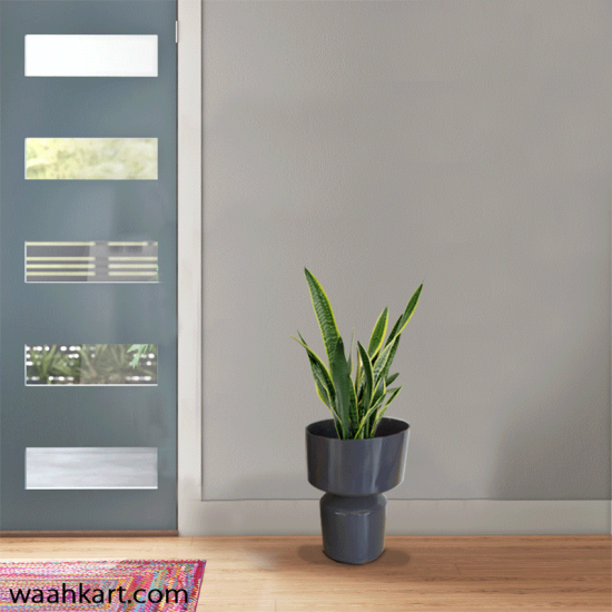 Attractive Gray Planter