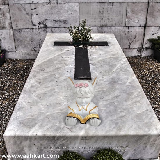 Baby Angel Reading Bible