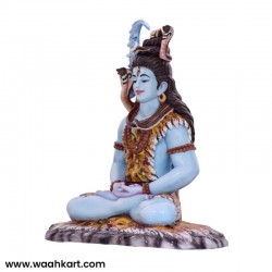 Beautiful Real Colour Shankar Ji Statue