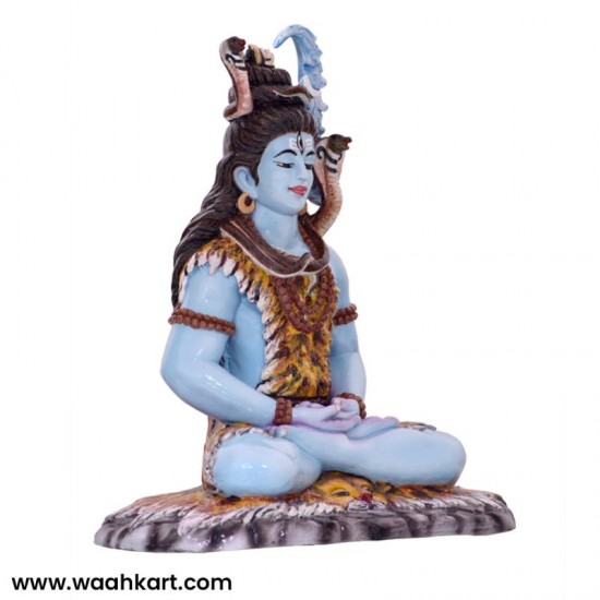 Beautiful Real Colour Shankar Ji Statue
