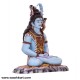Beautiful Real Colour Shankar Ji Statue