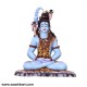 Beautiful Real Colour Shankar Ji Statue