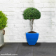 Blue Square Shaped Plant Pot