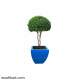 Blue Square Shaped Plant Pot