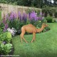 Camel Calf Statue