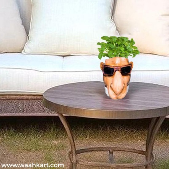 Camel Face Shaped Pot
