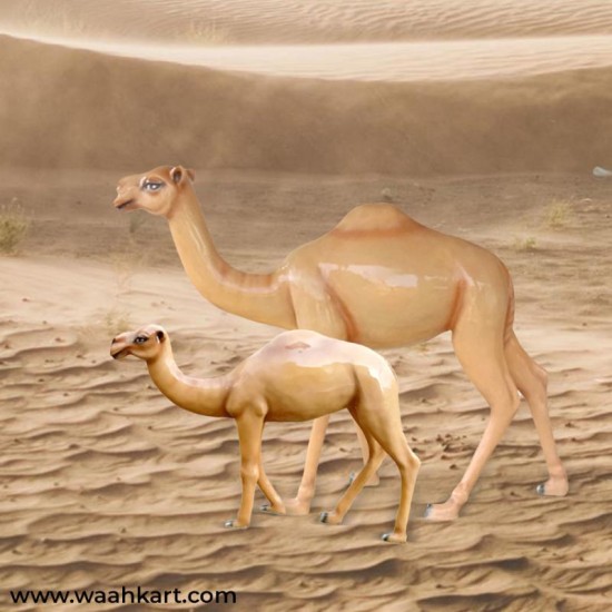 Camel With Its Calf Statue