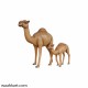 Camel With Its Calf Statue
