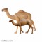 Camel With Its Calf Statue