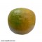 Citrus Fruit Sweet Lemon Fiber Model