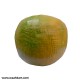 Citrus Fruit Sweet Lemon Fiber Model