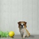 Cute Puppy Statue