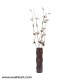 Designer Brass And Dark Brown Vase