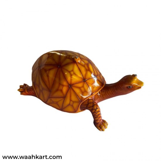 Designer Tortoise Table (Without Glass)