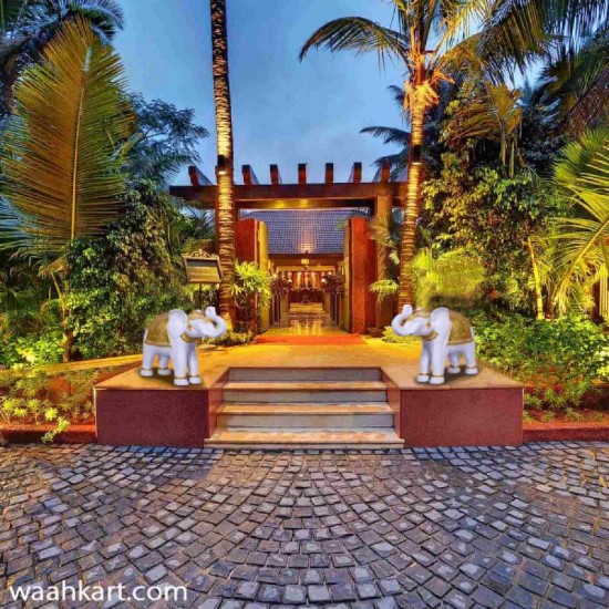 Designer Trunk Up Elephant Statue - Golden