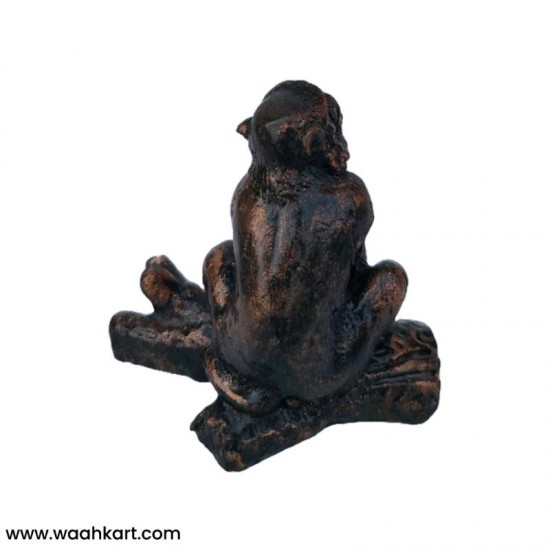 Divya Mantra Feng Shui Monkey