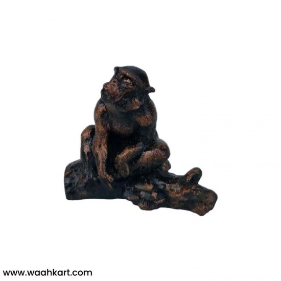 Divya Mantra Feng Shui Monkey