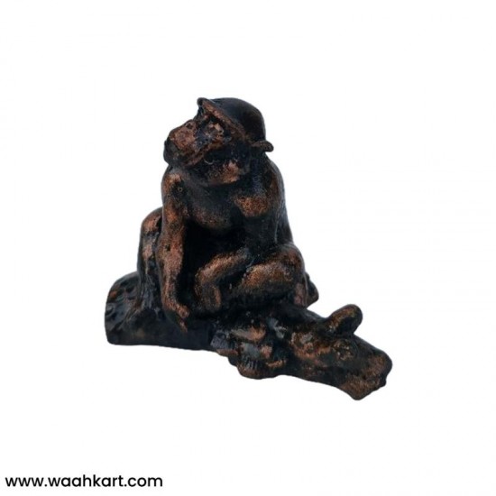 Divya Mantra Feng Shui Monkey