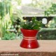 Drum Shape Planter - In Damru Look