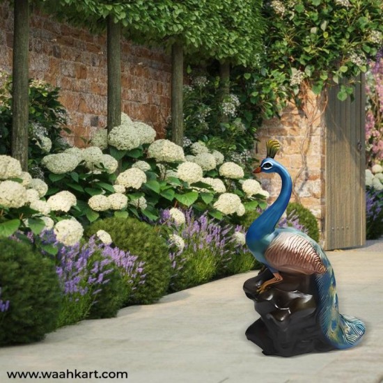 Elegant Peacock Showpiece