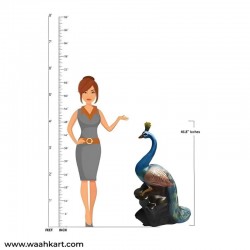 Elegant Peacock Showpiece