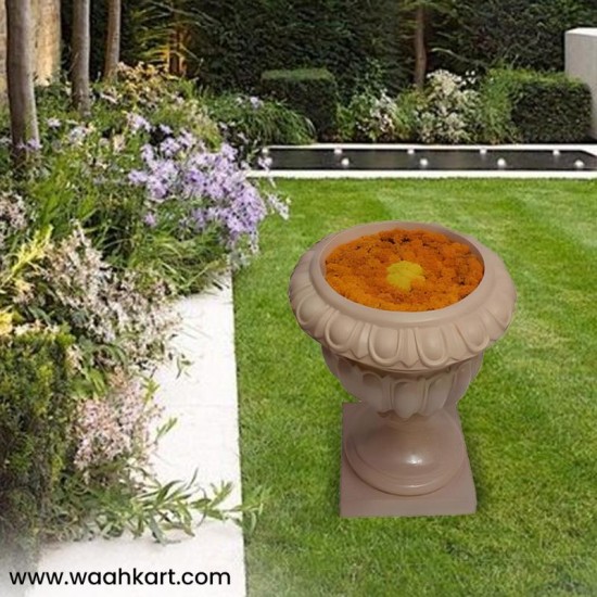 Floating Flower Pot In Light Pinkish Shade