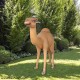 FRP Camel Statue